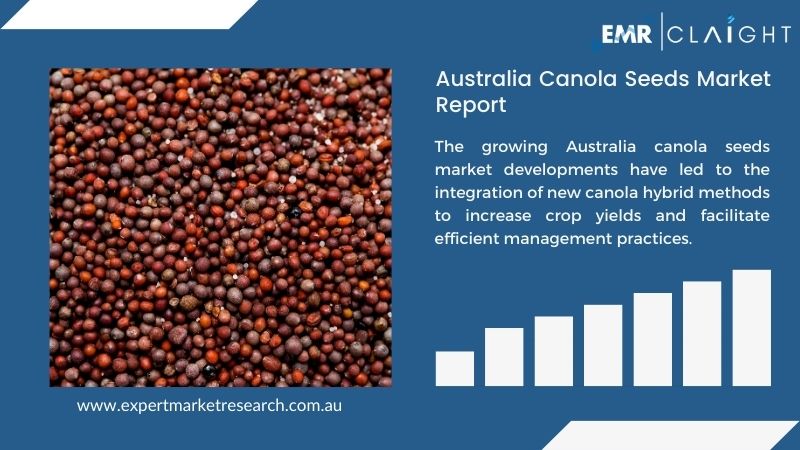 Australia Canola Seeds Market Report